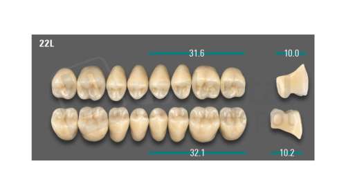 VITA - VIONIC LINGOFORM DD FRAME Posterior, A1, 22L UK                      - Teeth - Vionic Frames - # AGA122LU