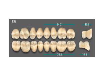 VITA - VIONIC LINGOFORM DD FRAME Posterior, A1, 23L OK                      - Teeth - Vionic Frames - # AGA123LO