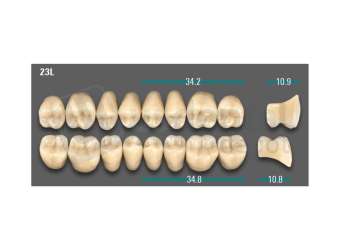 VITA - VIONIC LINGOFORM DD FRAME Posterior, A1, 23L UK                      - Teeth - Vionic Frames - # AGA123LU