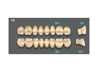 VITA - VIONIC LINGOFORM DD FRAME Posterior, A1, 21L OK                      - Teeth - Vionic Frames - # AGA121LO