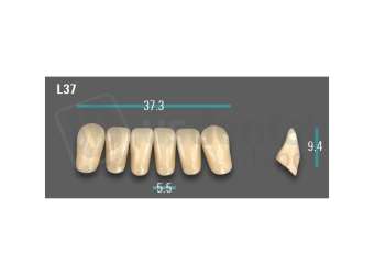 VITA - VIONIC EXCELL DD FRAME Anterior, A1, L37 - Teeth - Vionic Frames - # AGA1L37