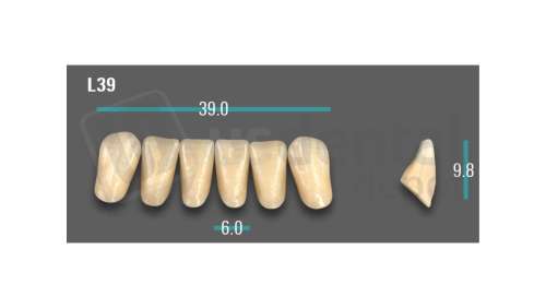 VITA - VIONIC EXCELL DD FRAME Anterior, A1, L39 - Teeth - Vionic Frames - # AGA1L39