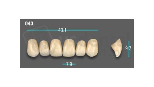 VITA - VIONIC EXCELL DD FRAME Anterior, A1, O43 - Teeth - Vionic Frames - # AGA1O43