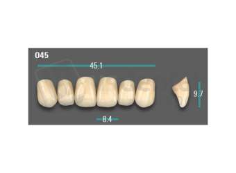 VITA - VIONIC EXCELL DD FRAME Anterior, A1, O45 - Teeth - Vionic Frames - # AGA1O45