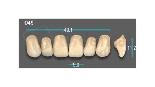 VITA - VIONIC EXCELL DD FRAME Anterior, A1, O49 - Teeth - Vionic Frames - # AGA1O49