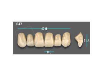 VITA - VIONIC EXCELL DD FRAME Anterior, A1, R47 - Teeth - Vionic Frames - # AGA1R47