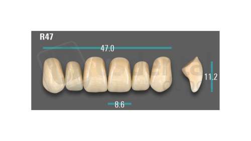 VITA - VIONIC EXCELL DD FRAME Anterior, A1, R47 - Teeth - Vionic Frames - # AGA1R47