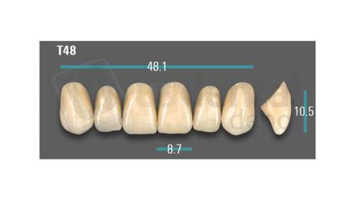 VITA - VIONIC EXCELL DD FRAME Anterior, A1, T48 - Teeth - Vionic Frames - # AGA1T48