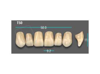 VITA - VIONIC EXCELL DD FRAME Anterior, A1, T50 - Teeth - Vionic Frames - # AGA1T50