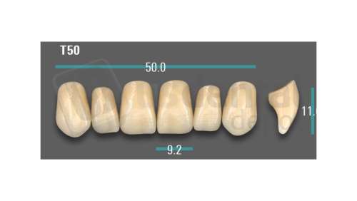 VITA - VIONIC EXCELL DD FRAME Anterior, A1, T50 - Teeth - Vionic Frames - # AGA1T50