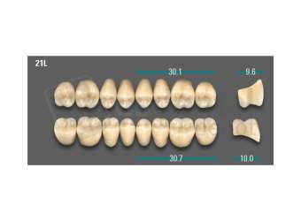 VITA - VIONIC LINGOFORM DD FRAME Posterior, A2, 21L OK                      - Teeth - Vionic Frames - # AGA221LO