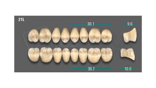 VITA - VIONIC LINGOFORM DD FRAME Posterior, A2, 21L OK                      - Teeth - Vionic Frames - # AGA221LO