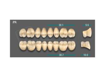 VITA - VIONIC LINGOFORM DD FRAME Posterior, A2, 21L UK                      - Teeth - Vionic Frames - # AGA221LU