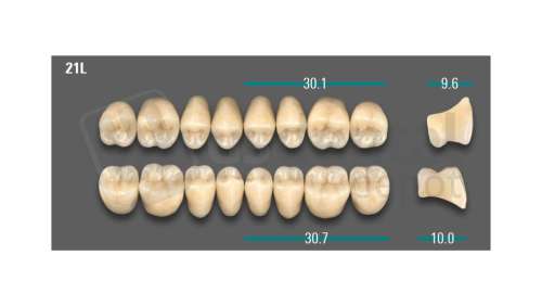 VITA - VIONIC LINGOFORM DD FRAME Posterior, A2, 21L UK                      - Teeth - Vionic Frames - # AGA221LU
