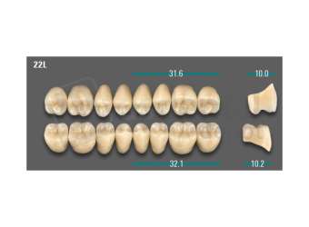 VITA - VIONIC LINGOFORM DD FRAME Posterior, A2, 22L OK                      - Teeth - Vionic Frames - # AGA222LO