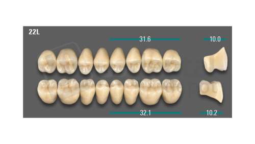 VITA - VIONIC LINGOFORM DD FRAME Posterior, A2, 22L UK                      - Teeth - Vionic Frames - # AGA222LU