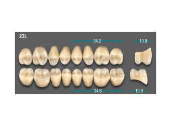 VITA - VIONIC LINGOFORM DD FRAME Posterior, A2, 23L OK                      - Teeth - Vionic Frames - # AGA223LO