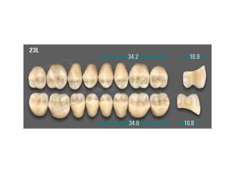 VITA - VIONIC LINGOFORM DD FRAME Posterior, A2, 23L UK                      - Teeth - Vionic Frames - # AGA223LU