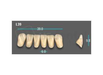 VITA - VIONIC EXCELL DD FRAME Anterior, A2, L39 - Teeth - Vionic Frames - # AGA2L39