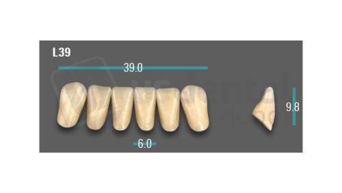VITA - VIONIC EXCELL DD FRAME Anterior, A2, L39 - Teeth - Vionic Frames - # AGA2L39