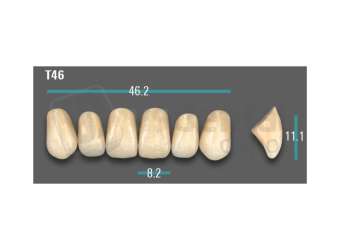 VITA - VIONIC EXCELL DD FRAME Anterior, A2, T46 - Teeth - Vionic Frames - # AGA2T46