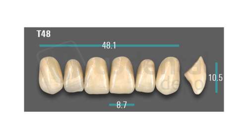 VITA - VIONIC EXCELL DD FRAME Anterior, A2, T48 - Teeth - Vionic Frames - # AGA2T48