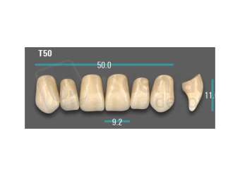 VITA - VIONIC EXCELL DD FRAME Anterior, A2, T50 - Teeth - Vionic Frames - # AGA2T50