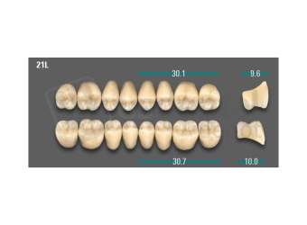 VITA - VIONIC LINGOFORM DD FRAME Posterior, A3, 21L OK                      - Teeth - Vionic Frames - # AGA321LO