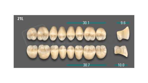 VITA - VIONIC LINGOFORM DD FRAME Posterior, A3, 21L OK                      - Teeth - Vionic Frames - # AGA321LO