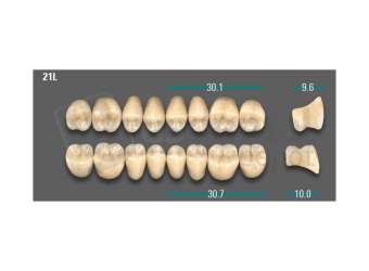 VITA - VIONIC LINGOFORM DD FRAME Posterior, A3, 21L UK                      - Teeth - Vionic Frames - # AGA321LU