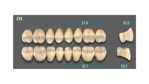 VITA - VIONIC LINGOFORM DD FRAME Posterior, A3, 22L OK                      - Teeth - Vionic Frames - # AGA322LO