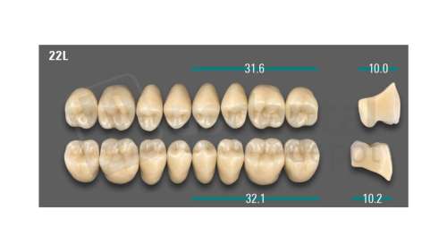 VITA - VIONIC LINGOFORM DD FRAME Posterior, A3, 22L UK                      - Teeth - Vionic Frames - # AGA322LU