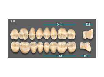 VITA - VIONIC LINGOFORM DD FRAME Posterior, A3, 23L OK                      - Teeth - Vionic Frames - # AGA323LO