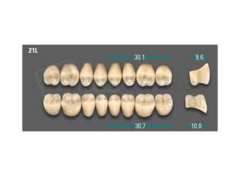 VITA - VIONIC LINGOFORM DD FRAME Posterior, A3.5, 21L OK                      - Teeth - Vionic Frames - # AGA3521LO