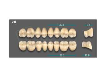 VITA - VIONIC LINGOFORM DD FRAME Posterior, A3.5, 21L UK                      - Teeth - Vionic Frames - # AGA3521LU