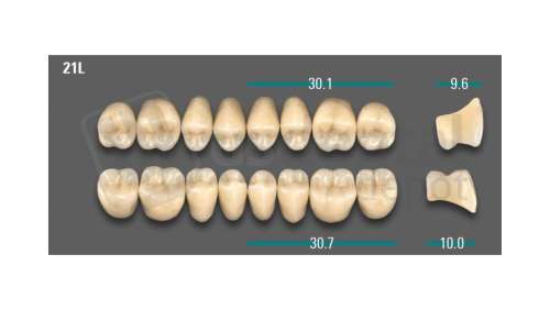 VITA - VIONIC LINGOFORM DD FRAME Posterior, A3.5, 21L UK                      - Teeth - Vionic Frames - # AGA3521LU