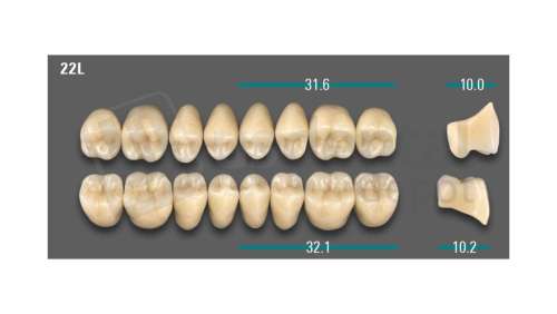 VITA - VIONIC LINGOFORM DD FRAME Posterior, A3.5, 22L OK                      - Teeth - Vionic Frames - # AGA3522LO