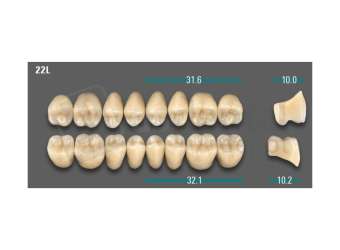 VITA - VIONIC LINGOFORM DD FRAME Posterior, A3.5, 22L UK                      - Teeth - Vionic Frames - # AGA3522LU