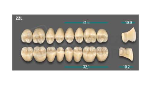 VITA - VIONIC LINGOFORM DD FRAME Posterior, A3.5, 22L UK                      - Teeth - Vionic Frames - # AGA3522LU