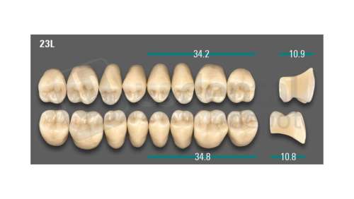 VITA - VIONIC LINGOFORM DD FRAME Posterior, A3.5, 23L OK                      - Teeth - Vionic Frames - # AGA3523LO