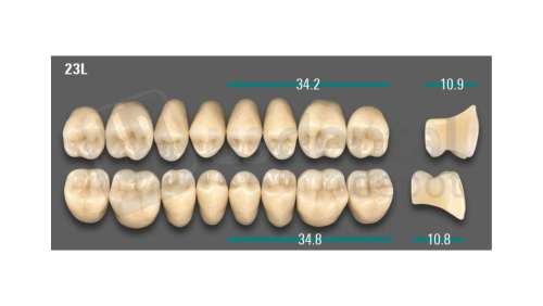 VITA - VIONIC LINGOFORM DD FRAME Posterior, A3.5, 23L UK                      - Teeth - Vionic Frames - # AGA3523LU