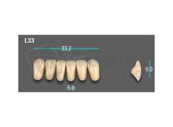 VITA - VIONIC EXCELL DD FRAME Anterior, A3.5, L33 - Teeth - Vionic Frames - # AGA35L33