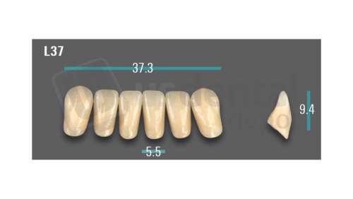 VITA - VIONIC EXCELL DD FRAME Anterior, A3.5, L37 - Teeth - Vionic Frames - # AGA35L37