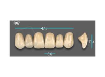 VITA - VIONIC EXCELL DD FRAME Anterior, A3.5, R47 - Teeth - Vionic Frames - # AGA35R47