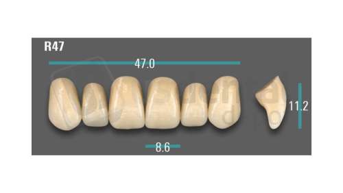 VITA - VIONIC EXCELL DD FRAME Anterior, A3.5, R47 - Teeth - Vionic Frames - # AGA35R47