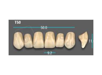 VITA - VIONIC EXCELL DD FRAME Anterior, A3.5, T50 - Teeth - Vionic Frames - # AGA35T50