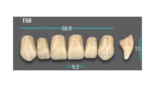 VITA - VIONIC EXCELL DD FRAME Anterior, A3.5, T50 - Teeth - Vionic Frames - # AGA35T50
