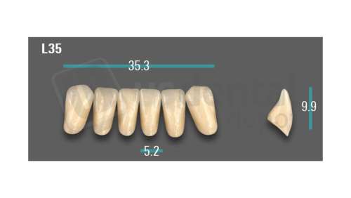 VITA - VIONIC EXCELL DD FRAME Anterior, A3, L35 - Teeth - Vionic Frames - # AGA3L35