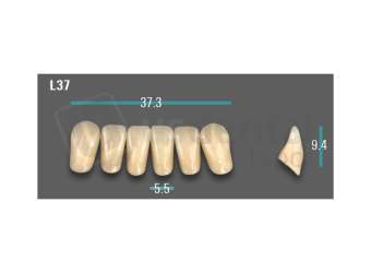 VITA - VIONIC EXCELL DD FRAME Anterior, A3, L37 - Teeth - Vionic Frames - # AGA3L37