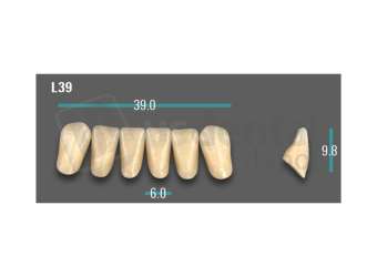 VITA - VIONIC EXCELL DD FRAME Anterior, A3, L39 - Teeth - Vionic Frames - # AGA3L39